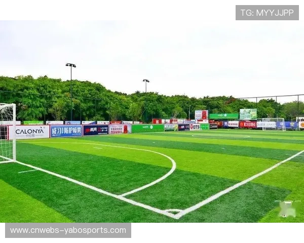 足球博彩广告新规实施 球场赞助标识显著减少