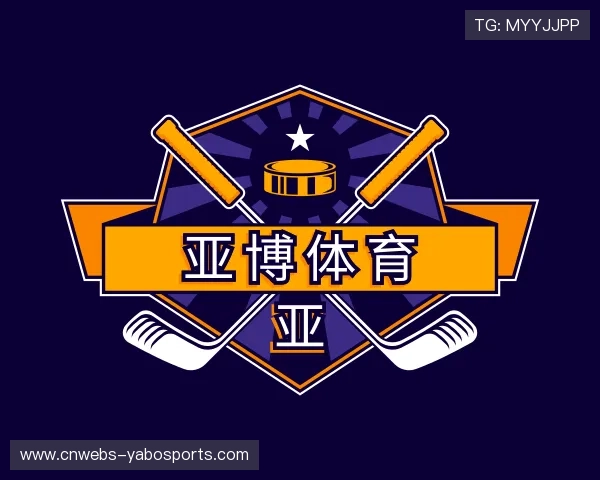 解读亚博体育公司